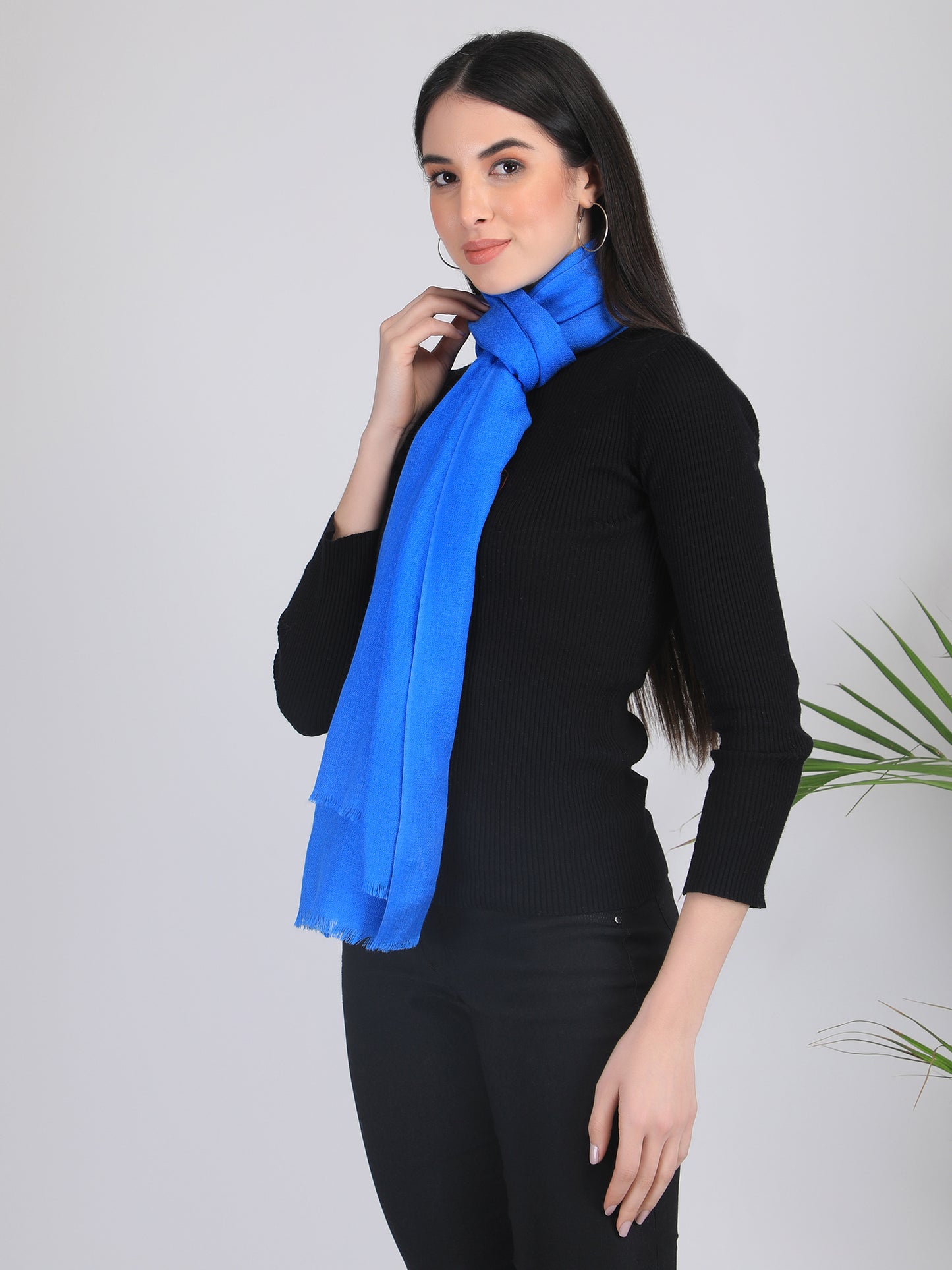 Arshi Solid Cashmere Scarf