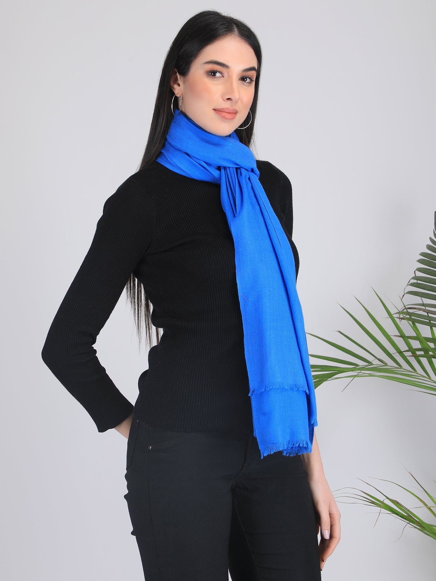 Arshi Solid Cashmere Scarf