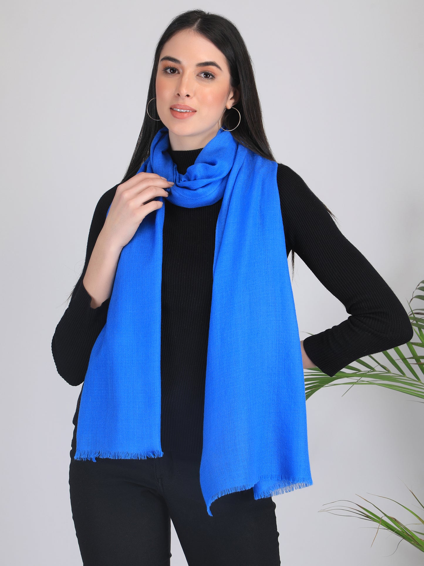 Arshi Solid Cashmere Scarf