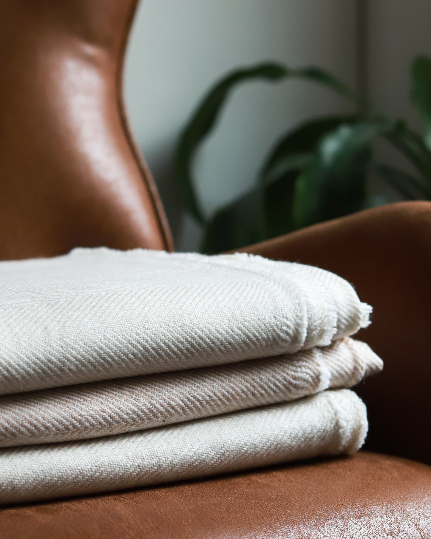 Prana Cashmere Blanket